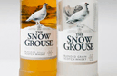 Snow Grouse